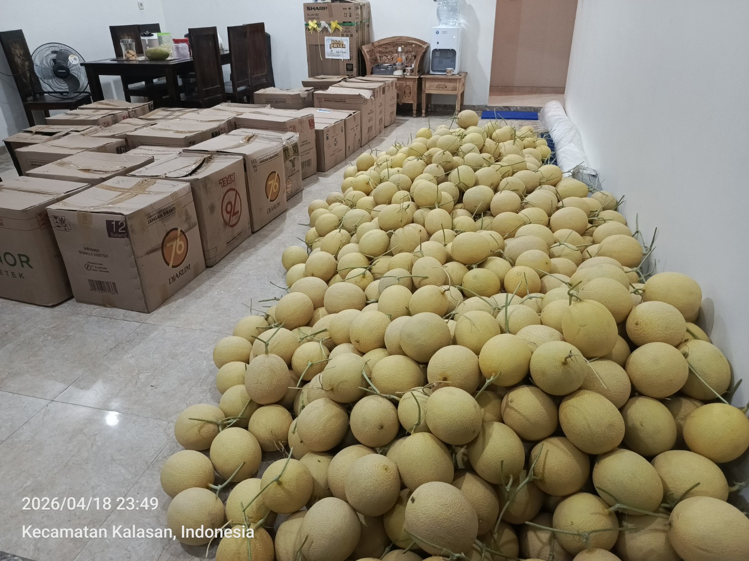 Hasil panen melon